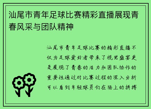 汕尾市青年足球比赛精彩直播展现青春风采与团队精神